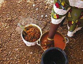 guinea_img_15