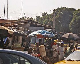 guinea_img_7b