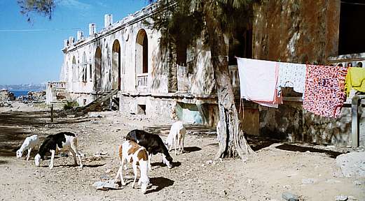 Obdachlosenwohnungen in den ehemaligen kolonialen Prunkbauten auf Gorée 