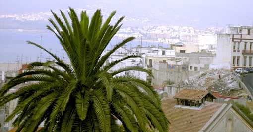 Blick von der Zimmerterrasse des El Minzah